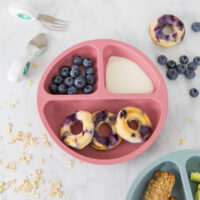 Baby Weaning Divider Suction Plate - PRODUCT PHOTO PROP